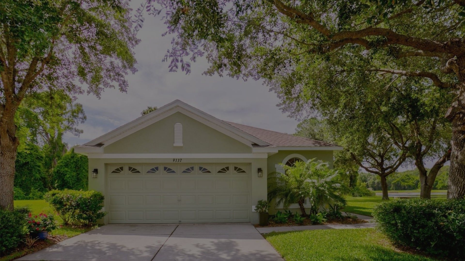 Pasco County Florida Current Market Report