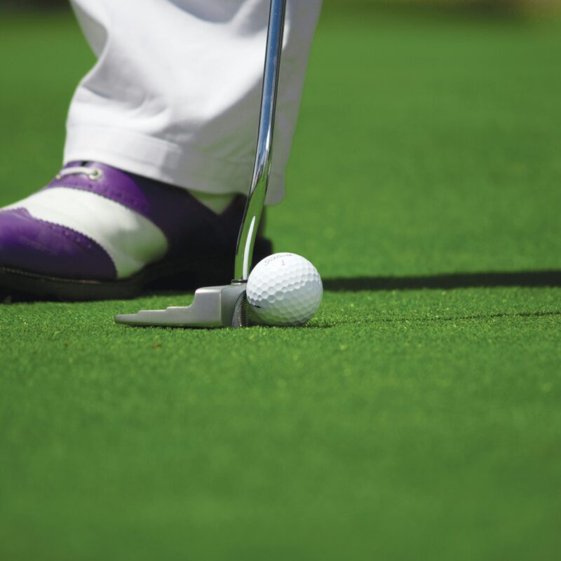 Pasco County Florida Golf Course Real Estate