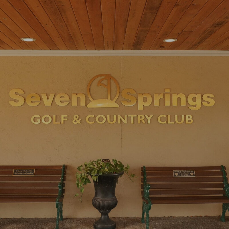 Seven Springs Golf and Country Club New Port Richey Real Estate