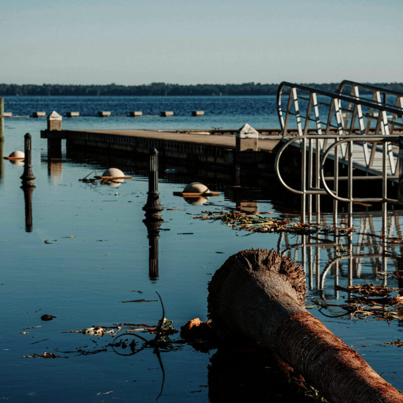 sell your substantially damaged property