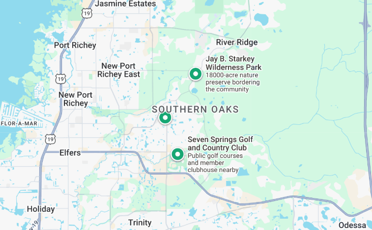 homes sold in southern oaks 34655
